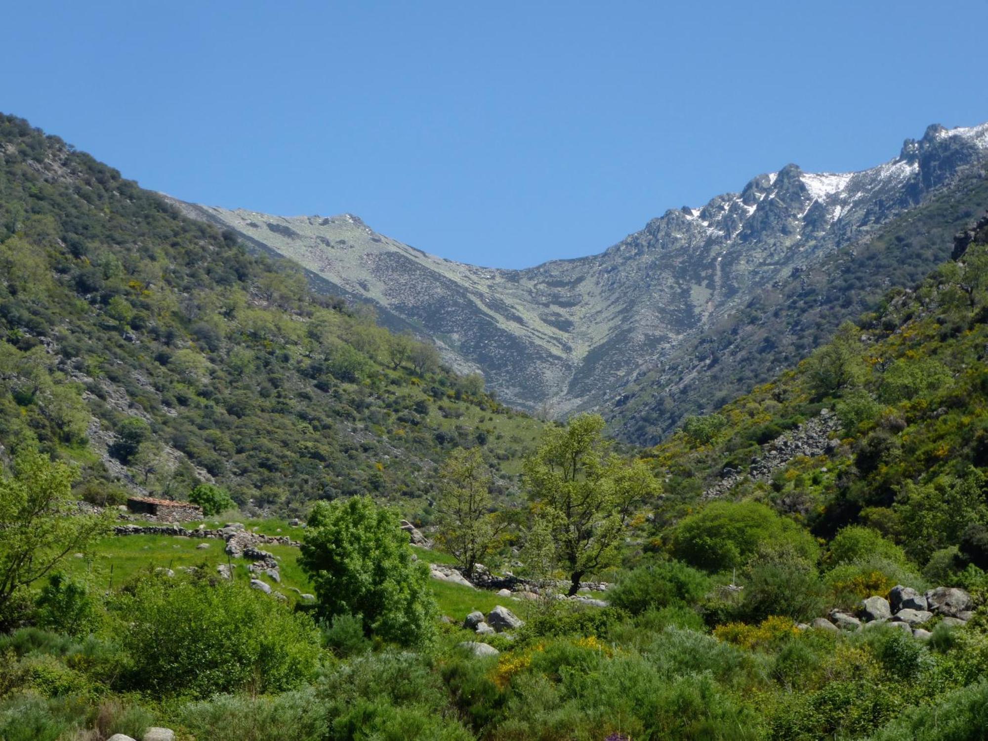 קואקוס דה יוסטה Apartamentos Rurales Entre Fuentes מראה חיצוני תמונה