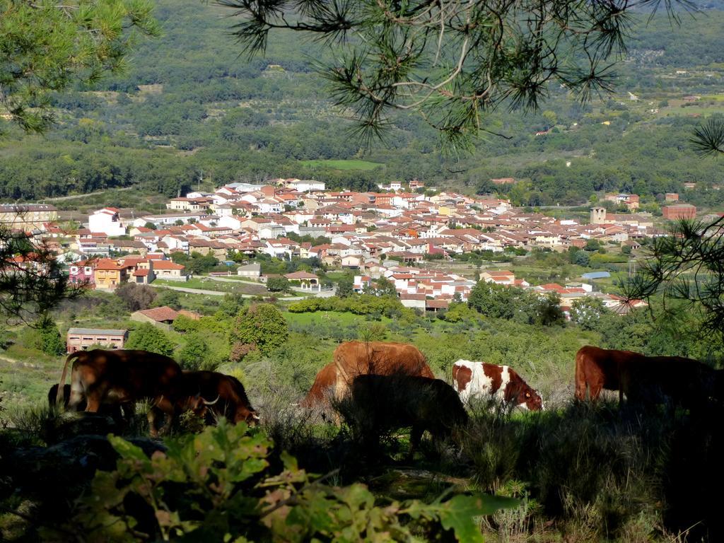 קואקוס דה יוסטה Apartamentos Rurales Entre Fuentes מראה חיצוני תמונה